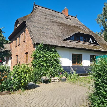Renovated Apartment In The Old Farmhouse Krusenhagen ภายนอก รูปภาพ