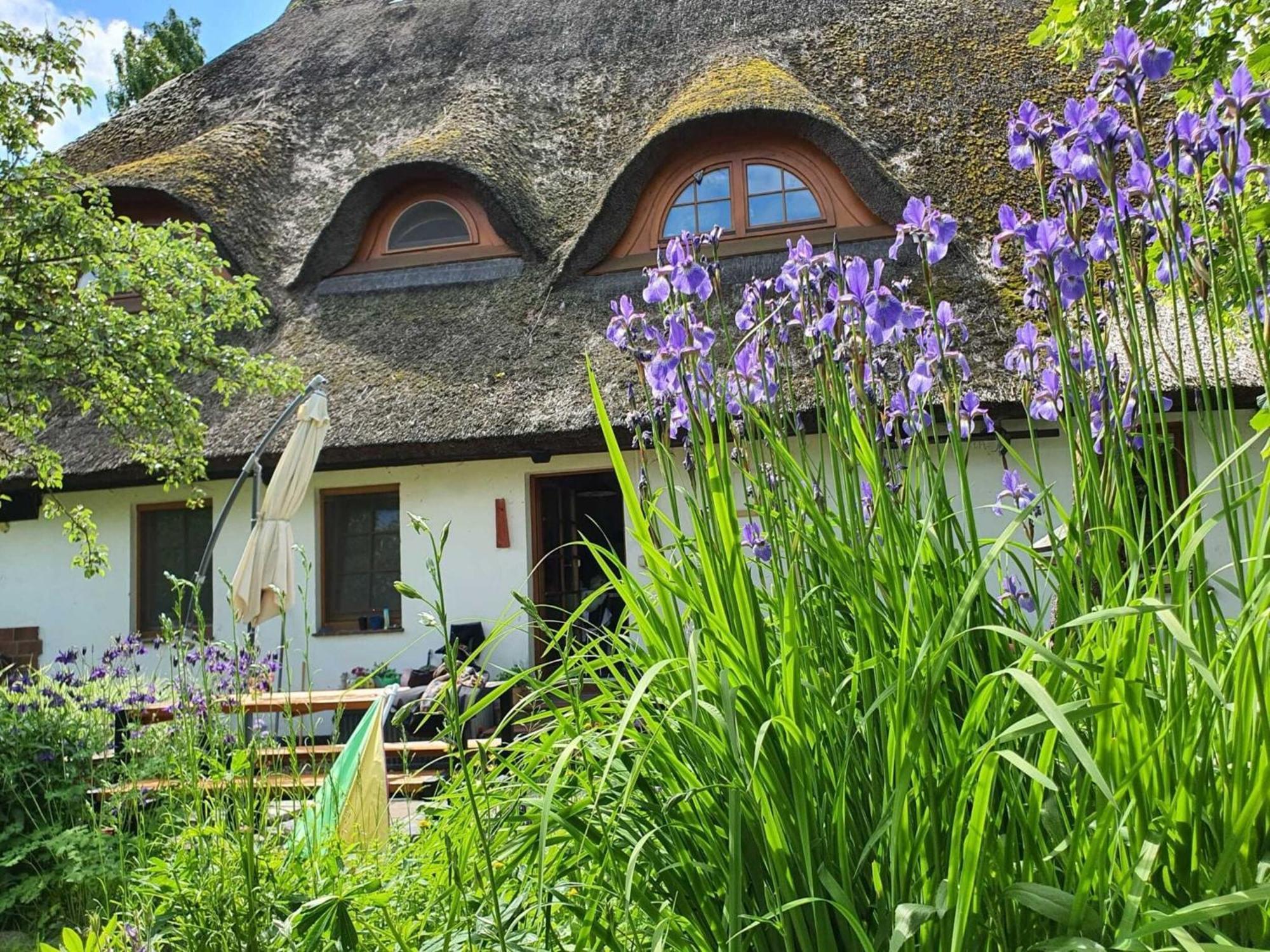 Renovated Apartment In The Old Farmhouse Krusenhagen ภายนอก รูปภาพ