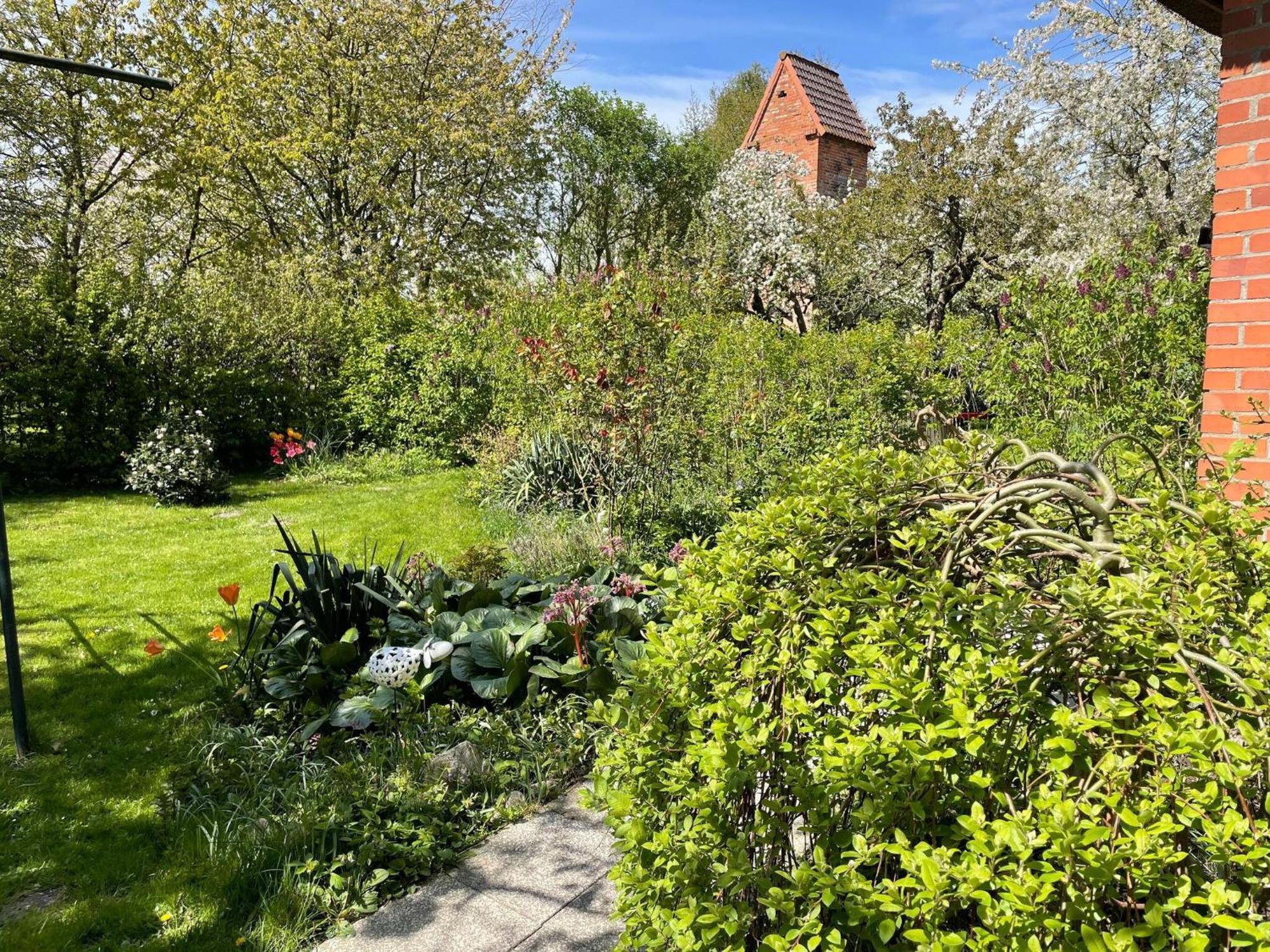Renovated Apartment In The Old Farmhouse Krusenhagen ภายนอก รูปภาพ